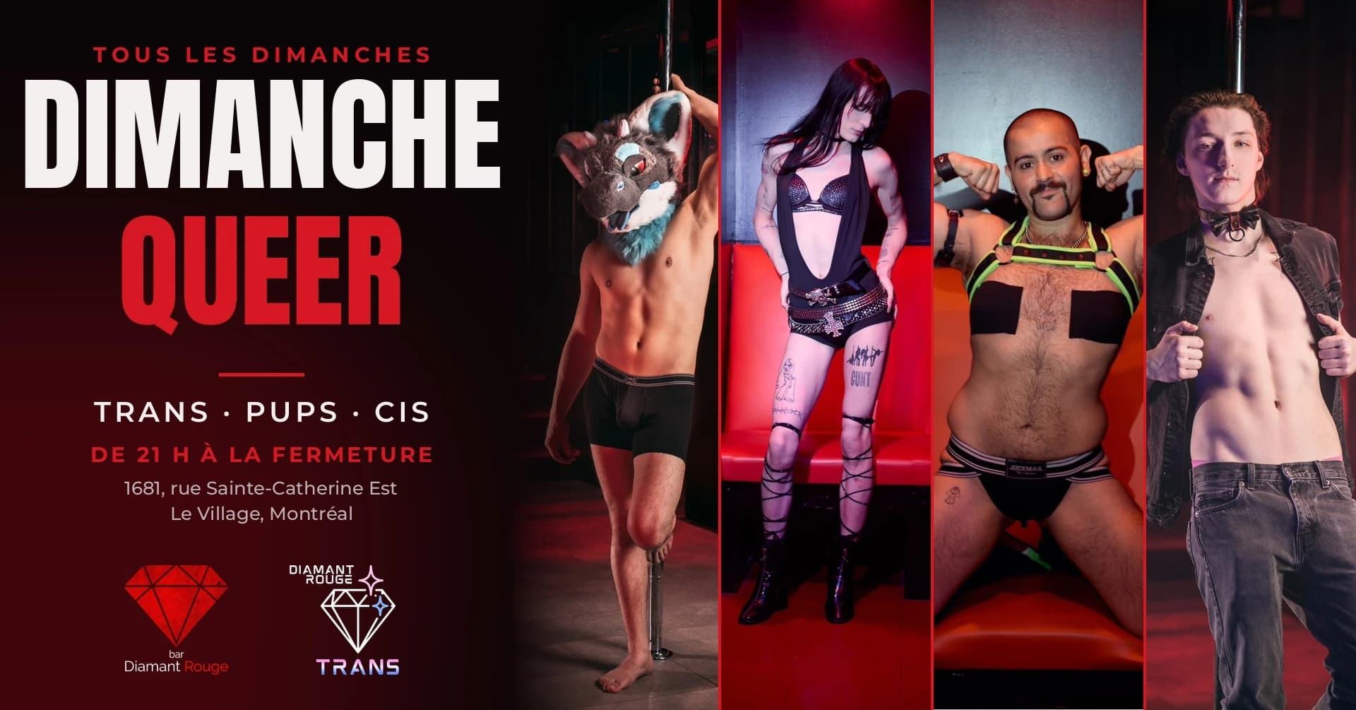 🌈🐾 DIMANCHE QUEER